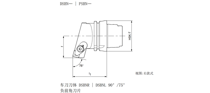 HSK-T 회전 도구 DSBNR | DSBNL 90 °/75 °